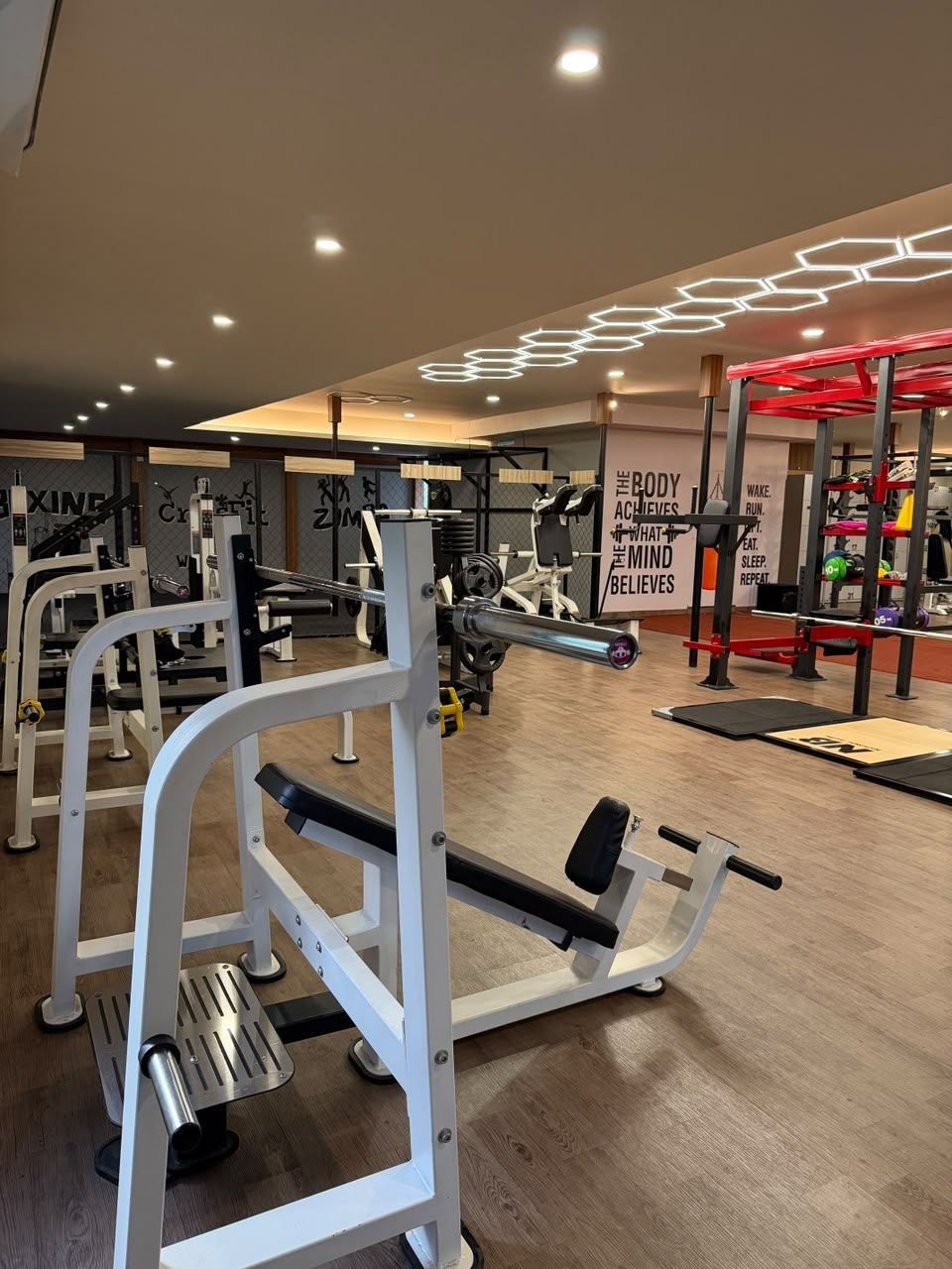 Inside Liger Fitness Chelavoor - training area and premium equipment
